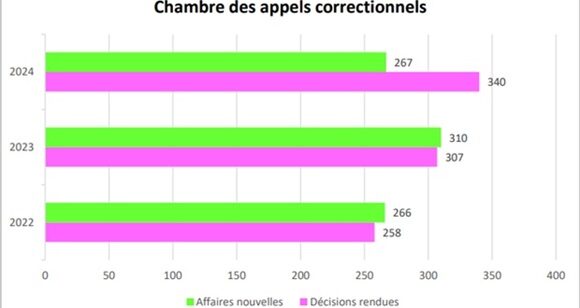 « Le nombre d’appels aux assises est très important » dit la première présidente de la Cour d’appel, Béatrice Almendros