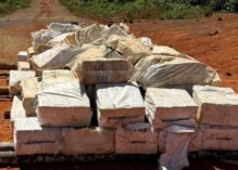 4,4 tonnes de cocaïne trouvées au Guyana, un record