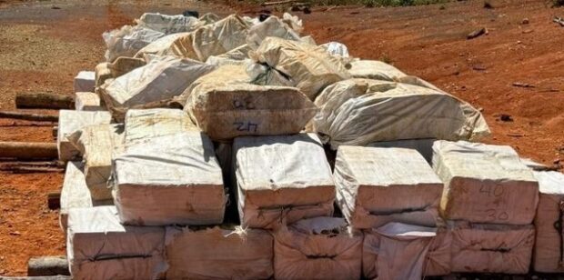 4,4 tonnes de cocaïne trouvées au Guyana, un record