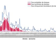 Hausse des cas de dengue en Guyane