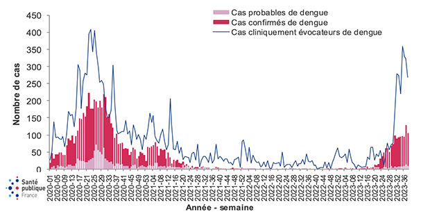 Hausse des cas de dengue en Guyane