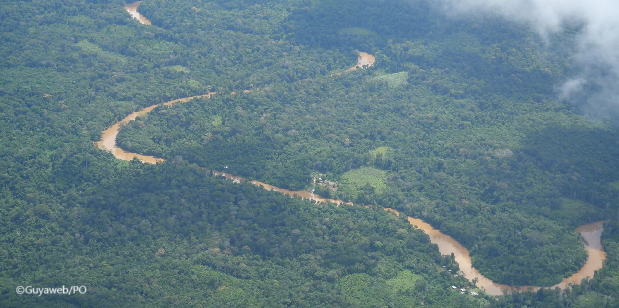 La pollution du fleuve Maroni, bombe à retardement environnementale et sanitaire