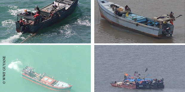 La pêche illégale étrangère a doublé et son rendement est quatre fois supérieur à celui de la pêche locale