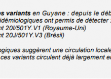 Hausse du nombre de cas de variants préoccupants en Guyane : 63 au jeudi 24 mars dont 22 cas de VOC britannique et 41 de VOC P1 brésilien !