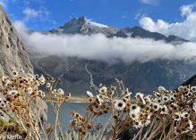 « Le Venezuela à l’aube de la vie après les glaciers »