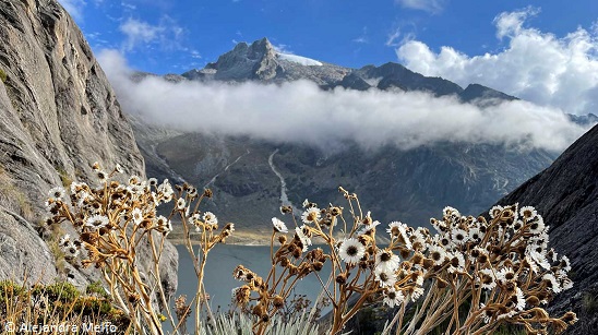 « Le Venezuela à l’aube de la vie après les glaciers »