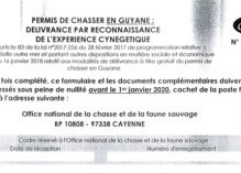 Le dispositif du permis de chasser est désormais officiel