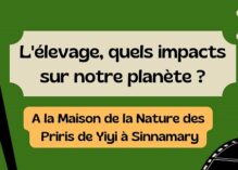 L’élevage, quels impacts sur notre planète ?