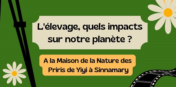 L’élevage, quels impacts sur notre planète ?