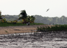 « Littoral de Guyane : une instabilité chronique face au changement climatique »