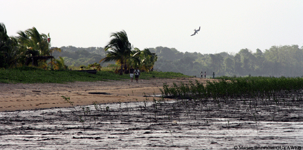 « Littoral de Guyane : une instabilité chronique face au changement climatique »