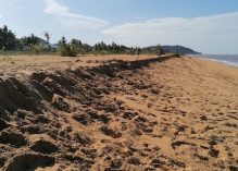 Un séminaire sur la connaissance du littoral guyanais pour les 10 ans de l’Observatoire de la dynamique côtière