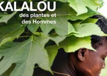 « Kalalou, des plantes et des hommes »