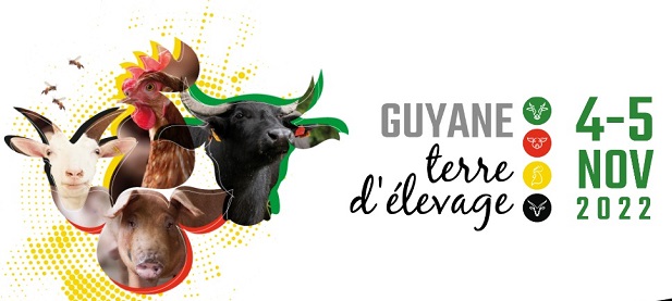 Guyane terre d’élevage