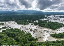 Service civique au Parc amazonien de Guyane